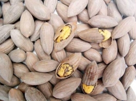 竹筷厂家提醒您小心黄曲霉素