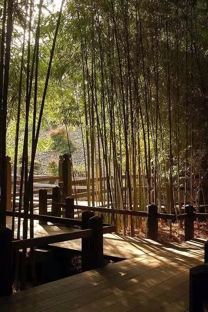 一次性竹筷 一次性竹筷