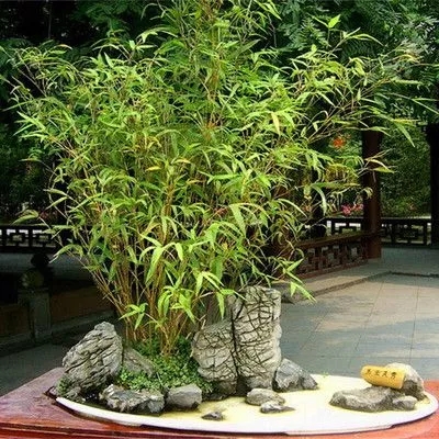 一次性竹筷 一次性竹筷